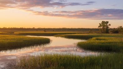 killbuck marsh wildlife area