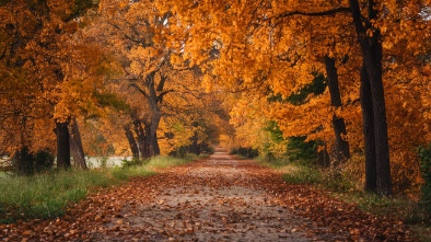 smithville metropark